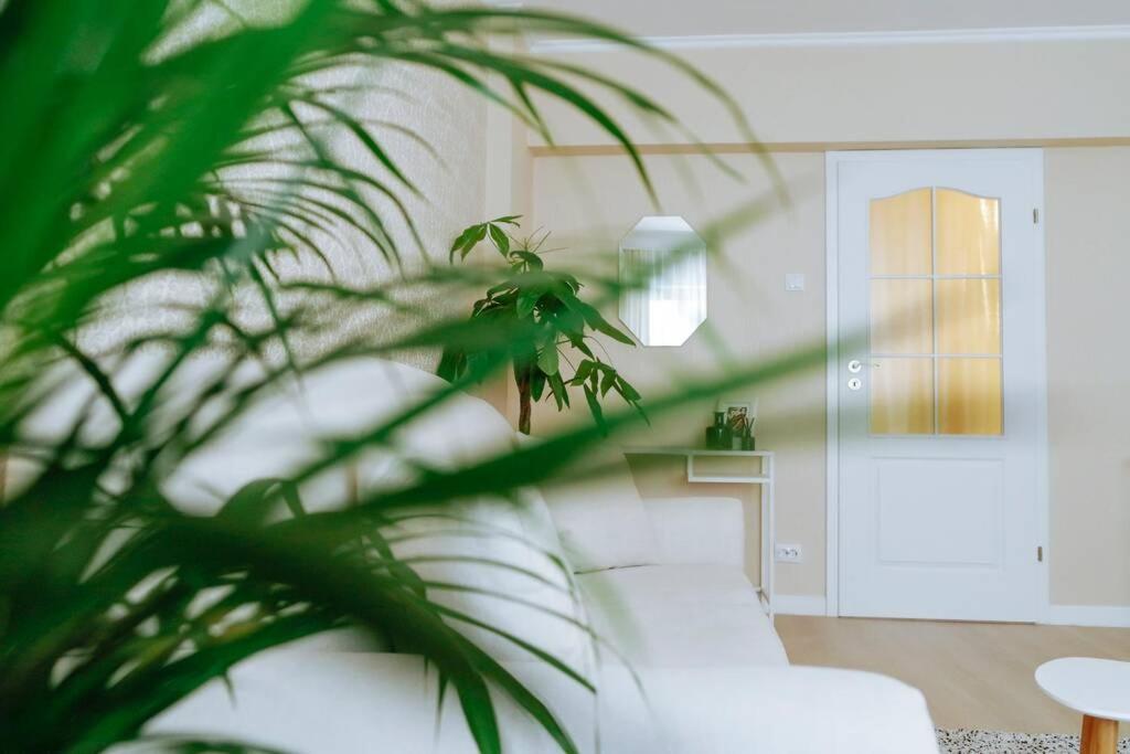 Elegant Vibes Apartment Next To Obor Market Bukares Bagian luar foto